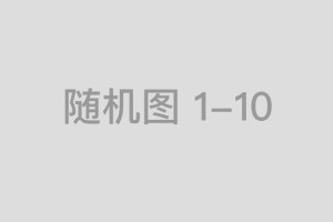 一往直前是指什么生肖，最准确诗句解析